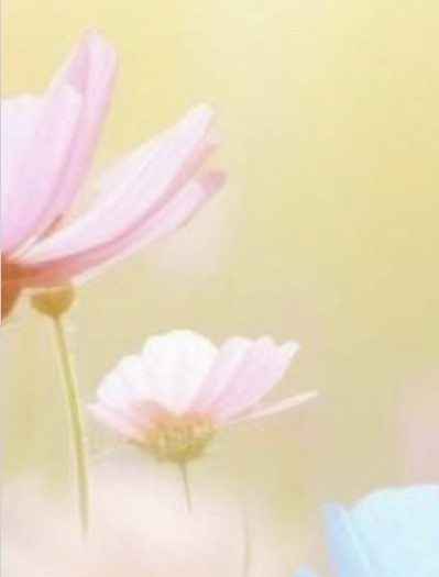 Summer 2026 concert (Wirral) "O Taste and See: The Flemish School" - Liverpool Renaissance Singers concert